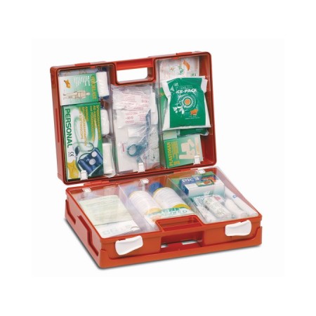 C011 - VALIGETTA PRONTO SOCCORSO (= 3 LAVORATORI) PROD3091